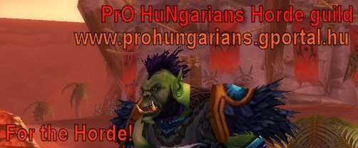 PrO HuNgarians    World of Warcraft guild